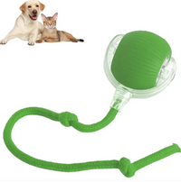 Pet Supplies