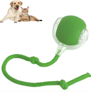 Pet Supplies